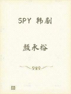 SPY 韩剧